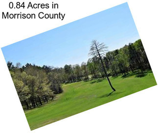 0.84 Acres in Morrison County