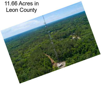 11.66 Acres in Leon County