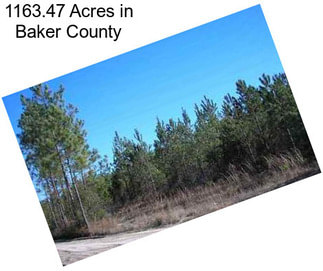 1163.47 Acres in Baker County