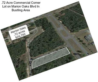 .72 Acre Commercial Corner Lot on Marion Oaks Blvd In Bustling Area