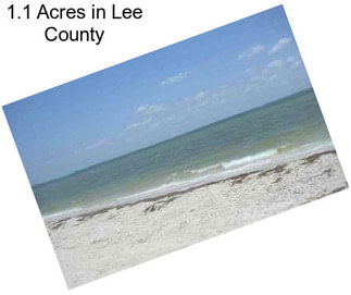 1.1 Acres in Lee County