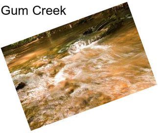 Gum Creek