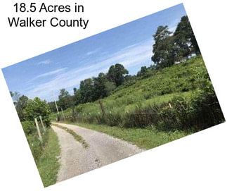 18.5 Acres in Walker County