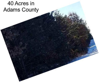 40 Acres in Adams County