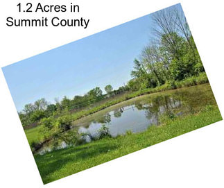 1.2 Acres in Summit County