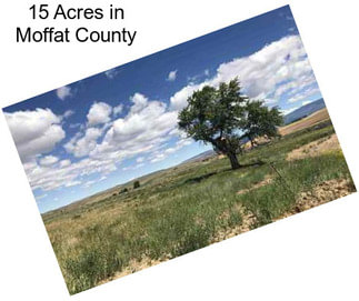 15 Acres in Moffat County