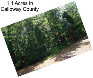 1.1 Acres in Calloway County