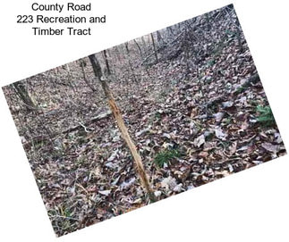 County Road 223 Recreation and Timber Tract