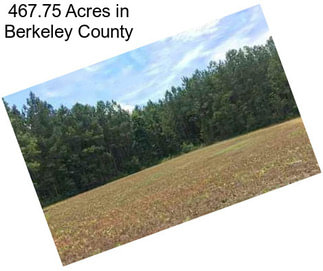 467.75 Acres in Berkeley County