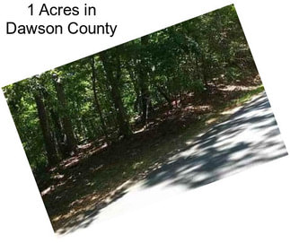 1 Acres in Dawson County