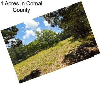 1 Acres in Comal County