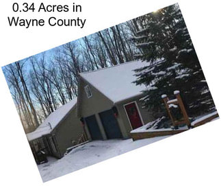 0.34 Acres in Wayne County