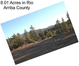 8.01 Acres in Rio Arriba County