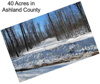 40 Acres in Ashland County