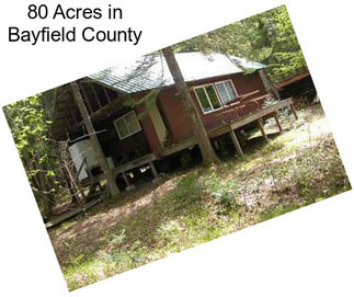 80 Acres in Bayfield County