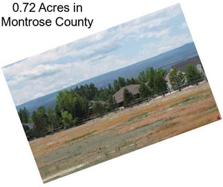 0.72 Acres in Montrose County