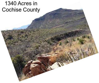1340 Acres in Cochise County