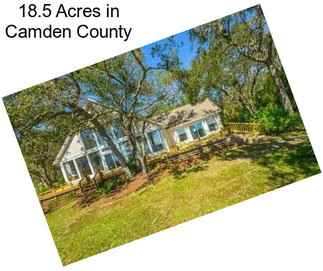 18.5 Acres in Camden County