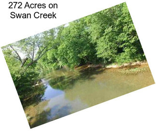 272 Acres on Swan Creek
