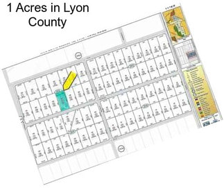 1 Acres in Lyon County