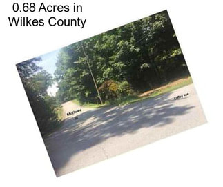 0.68 Acres in Wilkes County