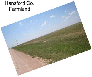 Hansford Co. Farmland
