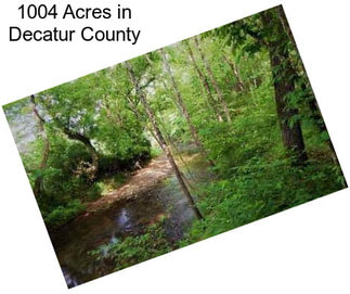 1004 Acres in Decatur County