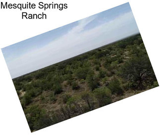 Mesquite Springs Ranch