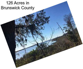 126 Acres in Brunswick County