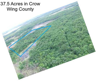 37.5 Acres in Crow Wing County