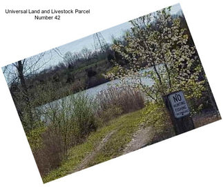 Universal Land and Livestock Parcel Number 42