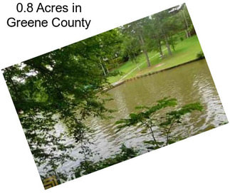 0.8 Acres in Greene County