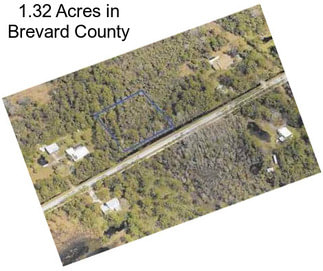 1.32 Acres in Brevard County