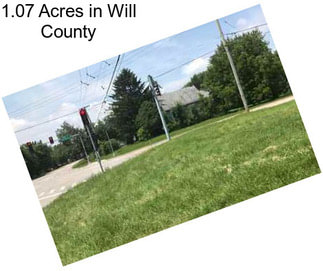 1.07 Acres in Will County