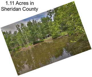 1.11 Acres in Sheridan County