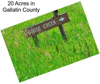 20 Acres in Gallatin County