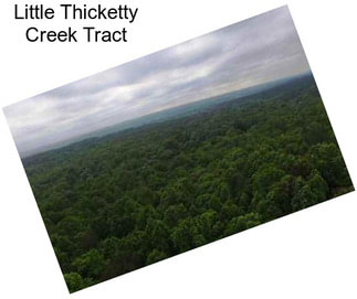 Little Thicketty Creek Tract