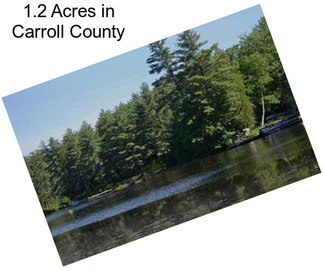 1.2 Acres in Carroll County