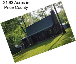 21.83 Acres in Price County