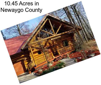 10.45 Acres in Newaygo County