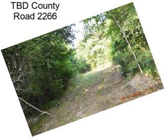 TBD County Road 2266