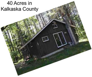 40 Acres in Kalkaska County