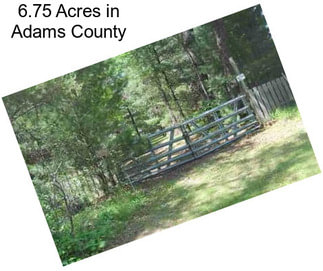 6.75 Acres in Adams County