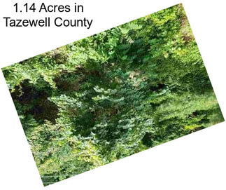1.14 Acres in Tazewell County