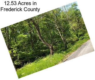 12.53 Acres in Frederick County