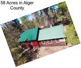 58 Acres in Alger County