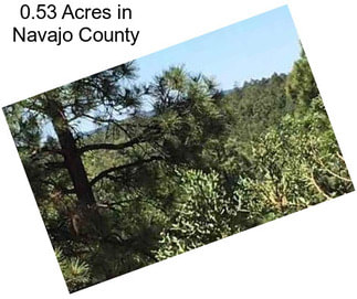 0.53 Acres in Navajo County