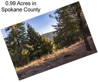 0.99 Acres in Spokane County