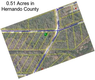 0.51 Acres in Hernando County