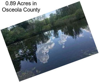 0.89 Acres in Osceola County